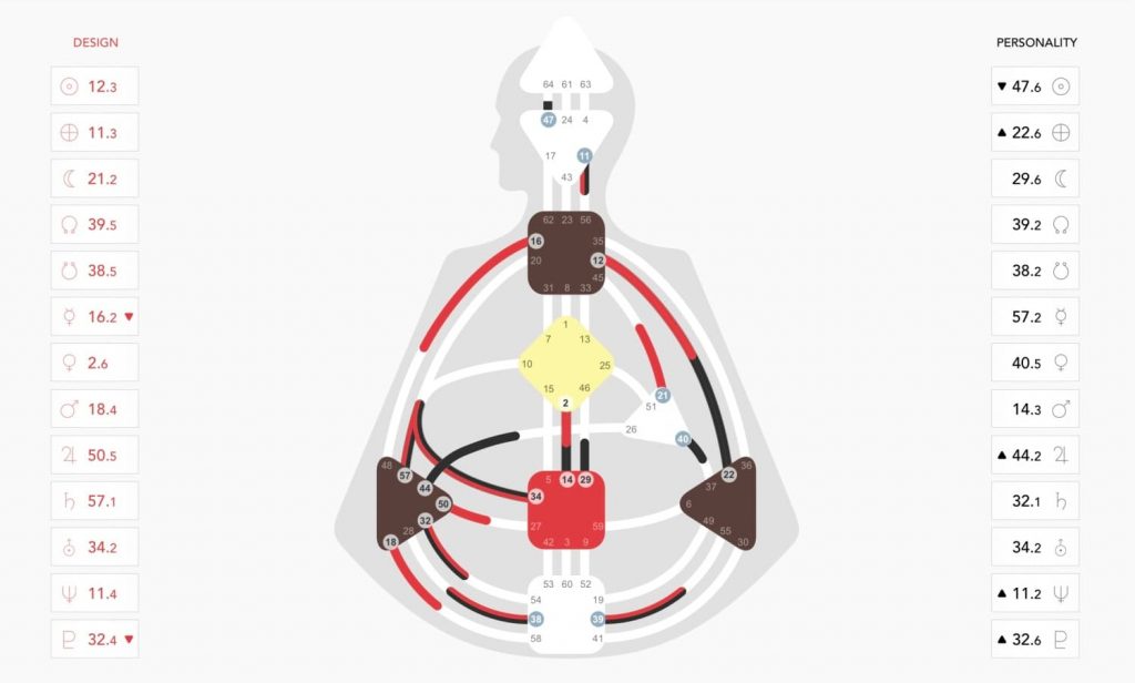 Die Gebrauchsanweisung zu deinem Leben - Human Design System